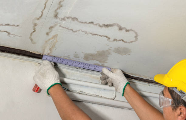 Reliable Water Damage contractor in Ideal, GA by Water Damage Irwin